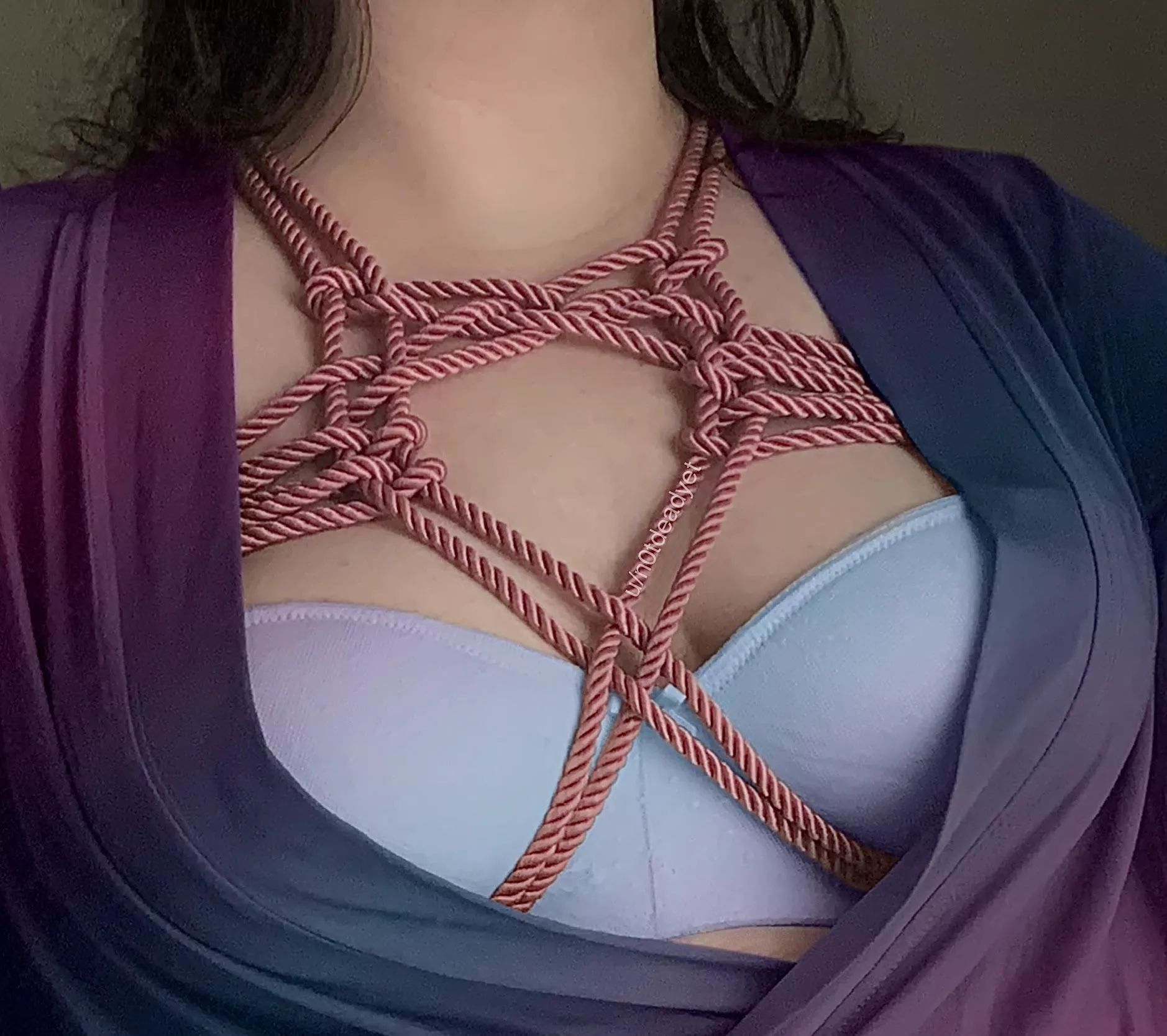 Welcome to my Candyland! posted by n0tdeadyet