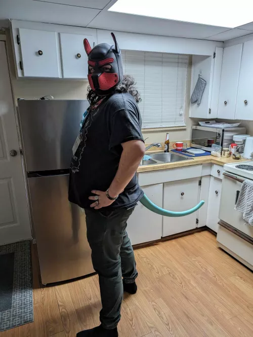 Went to my first funcon and got myself a tail! by Beedsman