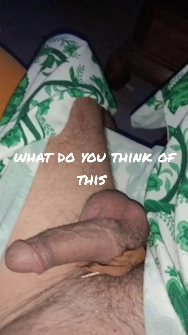 what you think of this posted by oggiedoggie2023