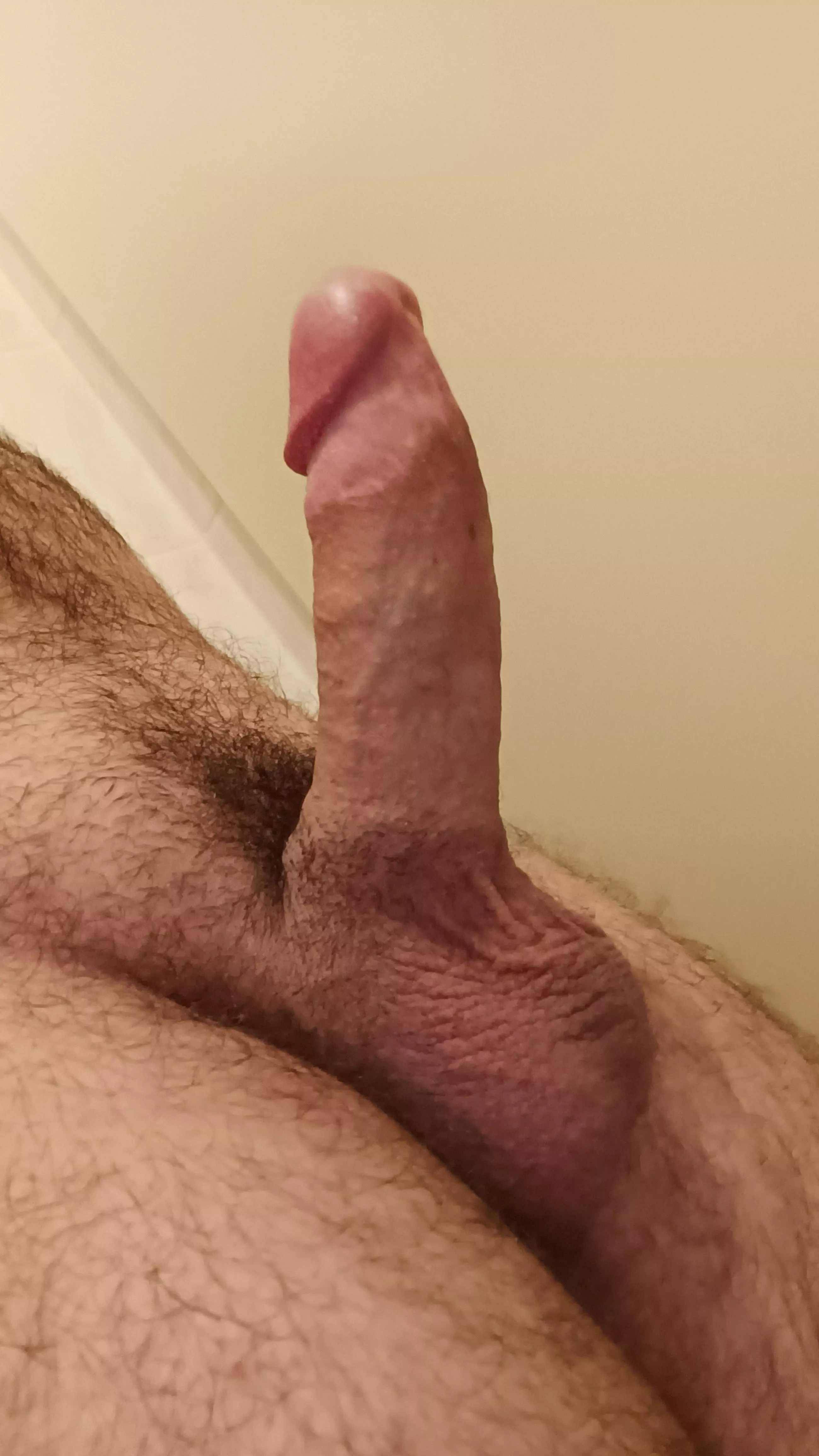 What's good about my cock? posted by Allin_john