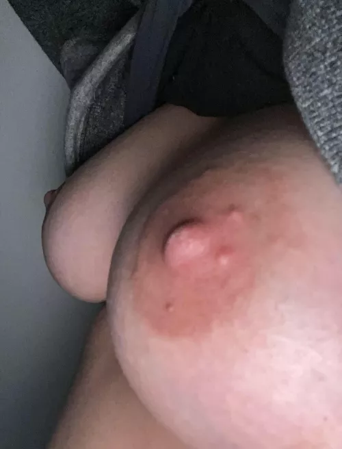 Who wants to lick my nipples by ComprehensiveFill686
