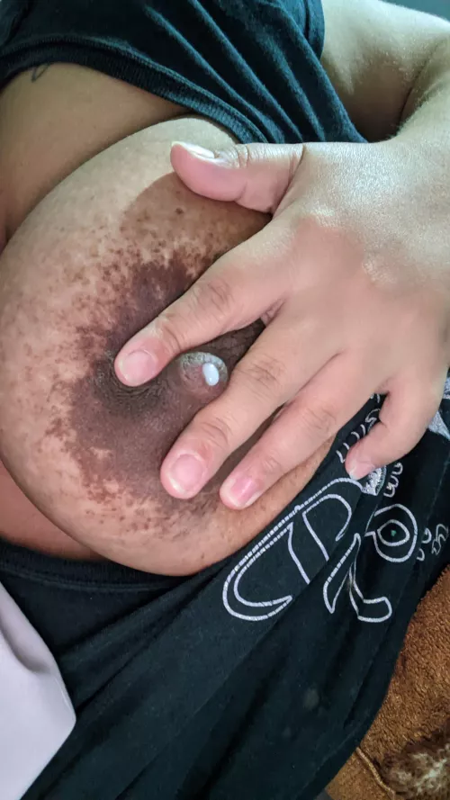 Would you like to see how I get all my milk? by ComprehensiveTwo6245