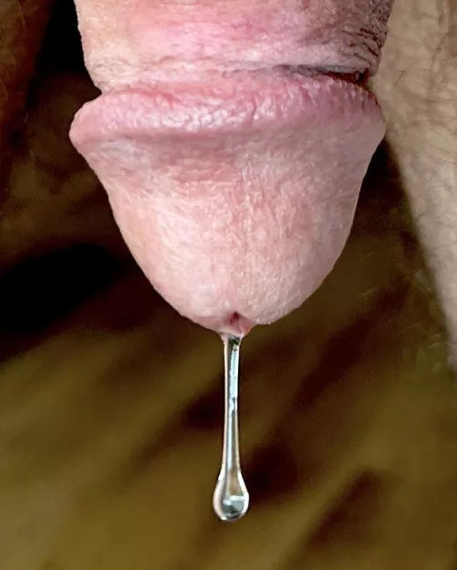 Always ready to make a baby... by jerseyjaxoff