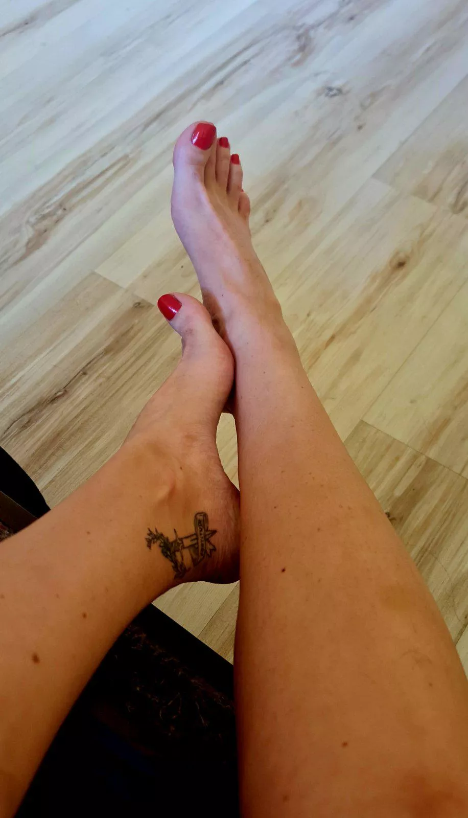 Are you toes or soles guy.... oc posted by missblackcatt
