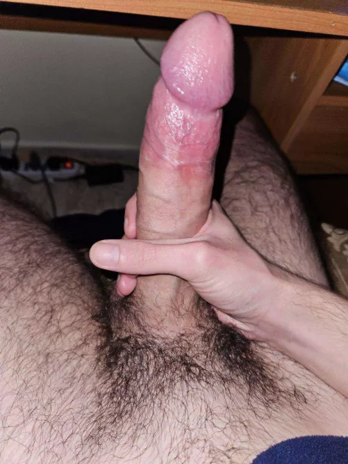 Does it get a passing grade? by w3zz_