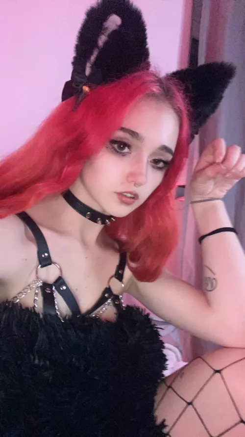 Even though I'm wearing a collar, I can still bite you :3 by EBAHLITA