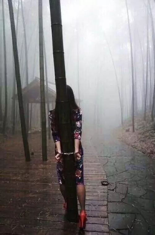 foggy park walk by Mundane-Employer-719