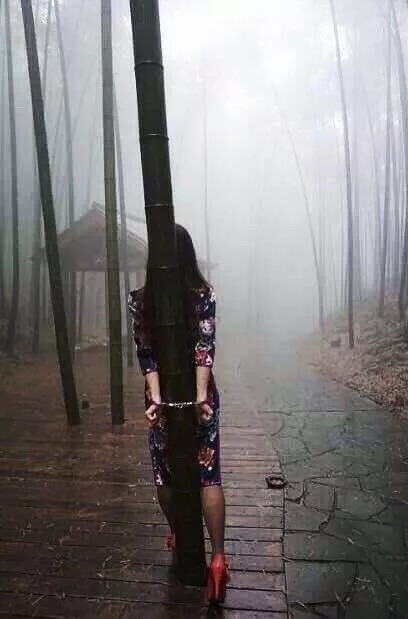 foggy park walk posted by Mundane-Employer-719