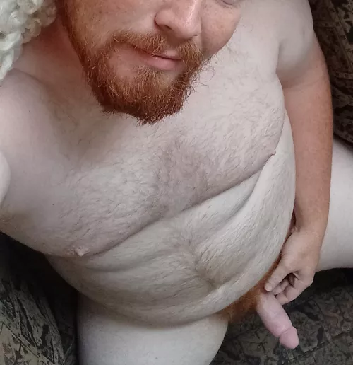 Ginger bear by Nice_Formal6306