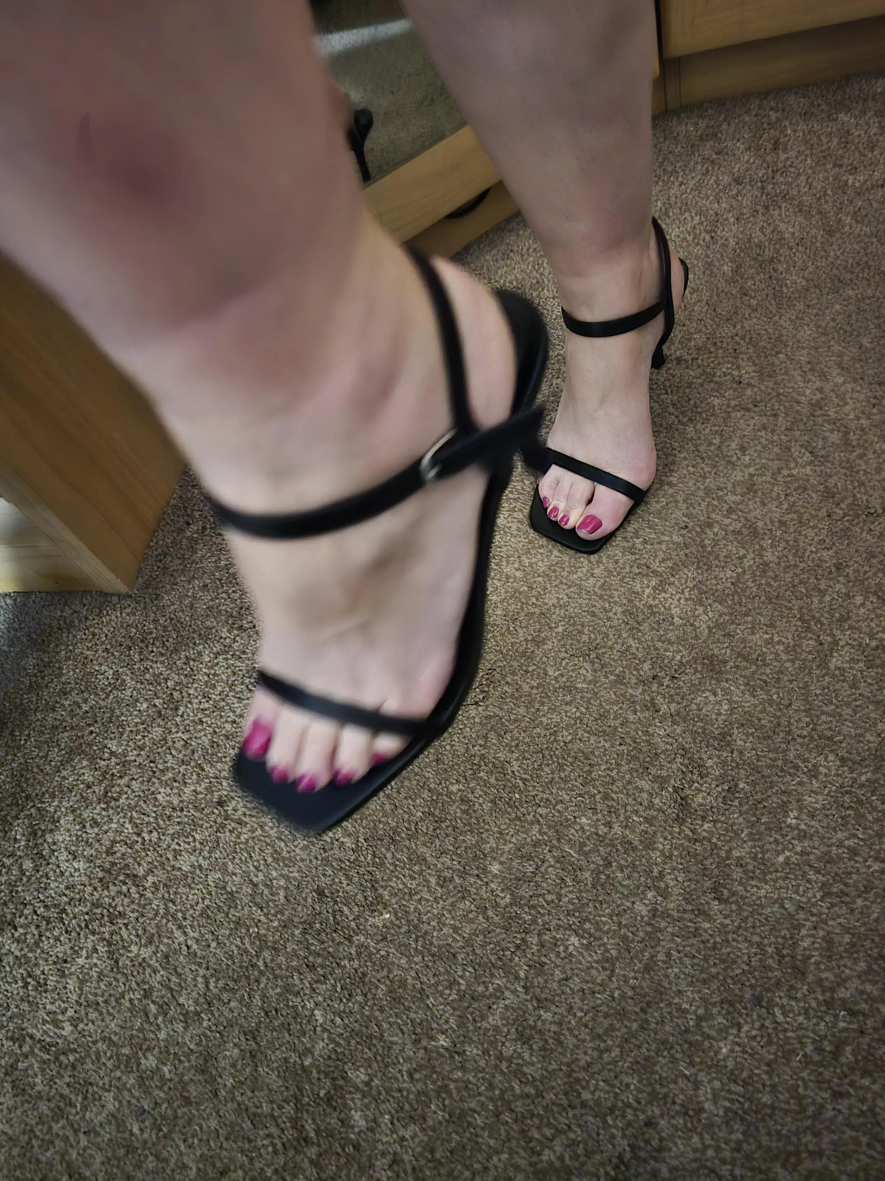 Good mules  posted by bunngirl38