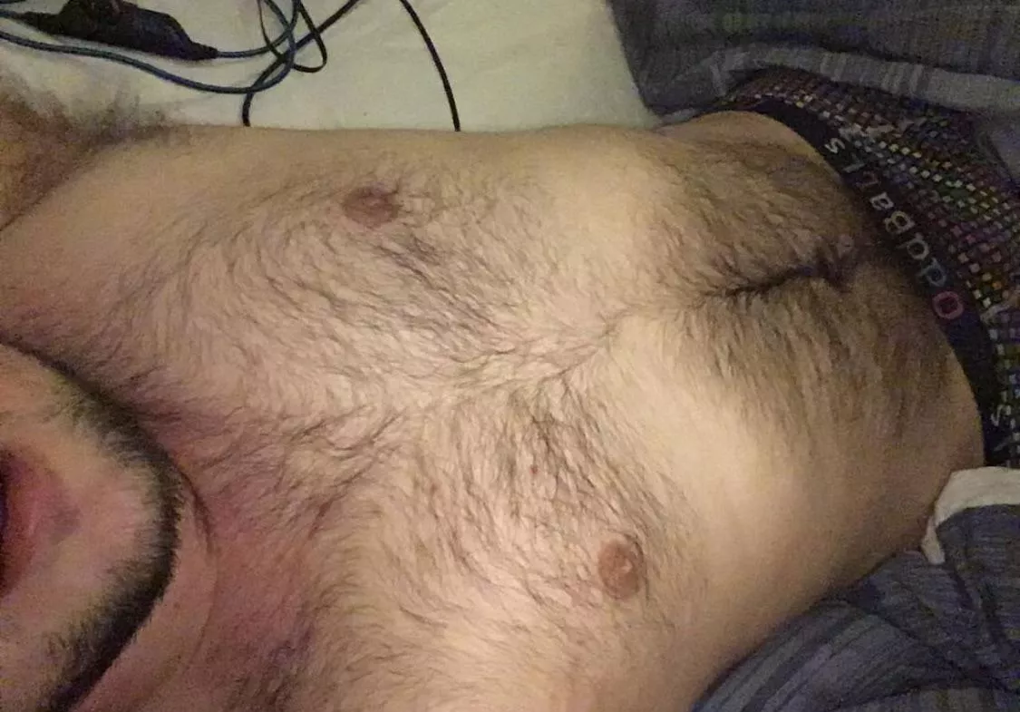 Hairy Bear posted by Bespokemoose