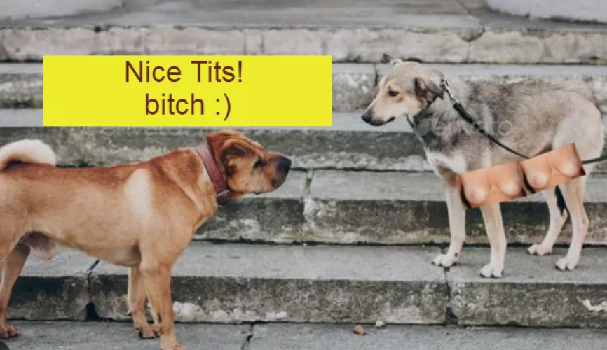 Happy Valentines day! by OwnedByOwn