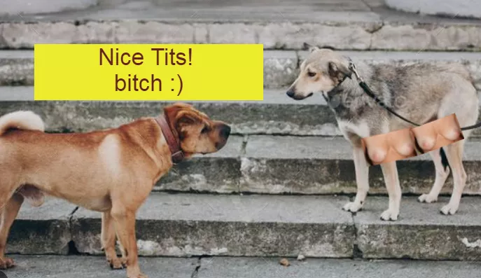 Happy Valentines day! posted by OwnedByOwn