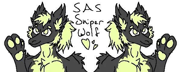 (Max) made by Duk3_X posted by sniper500018