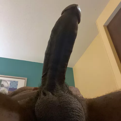 My dick anyone by Jscott990