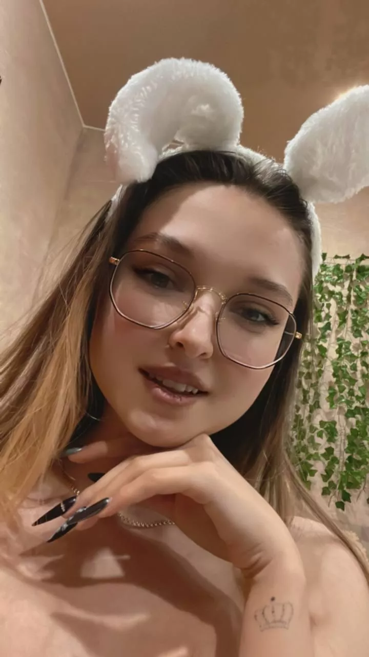 should we do what rabbits do? posted by pluckilyriffle