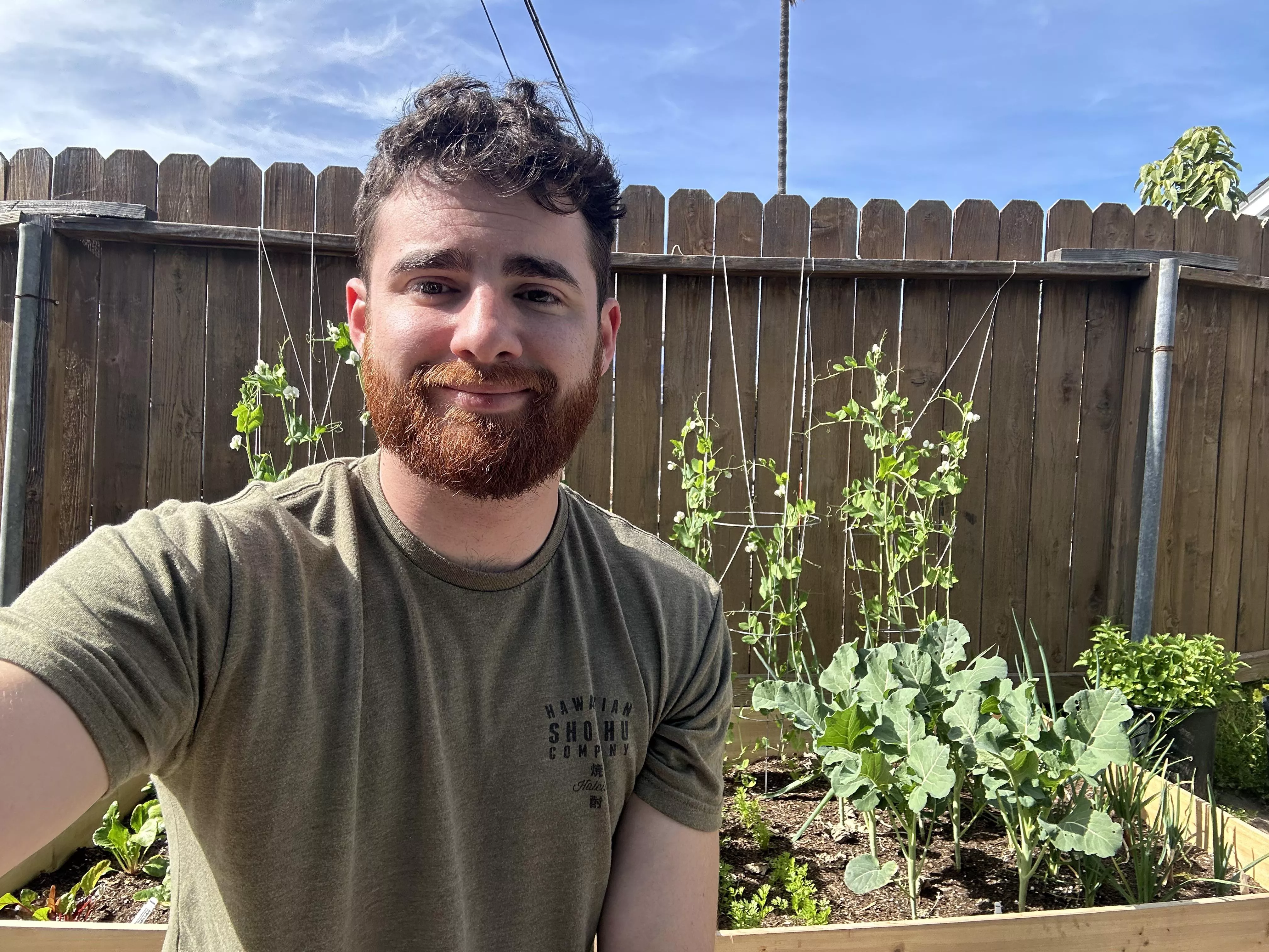 Spent 300 dollars to grow .50 cents if peas posted by SwissCream