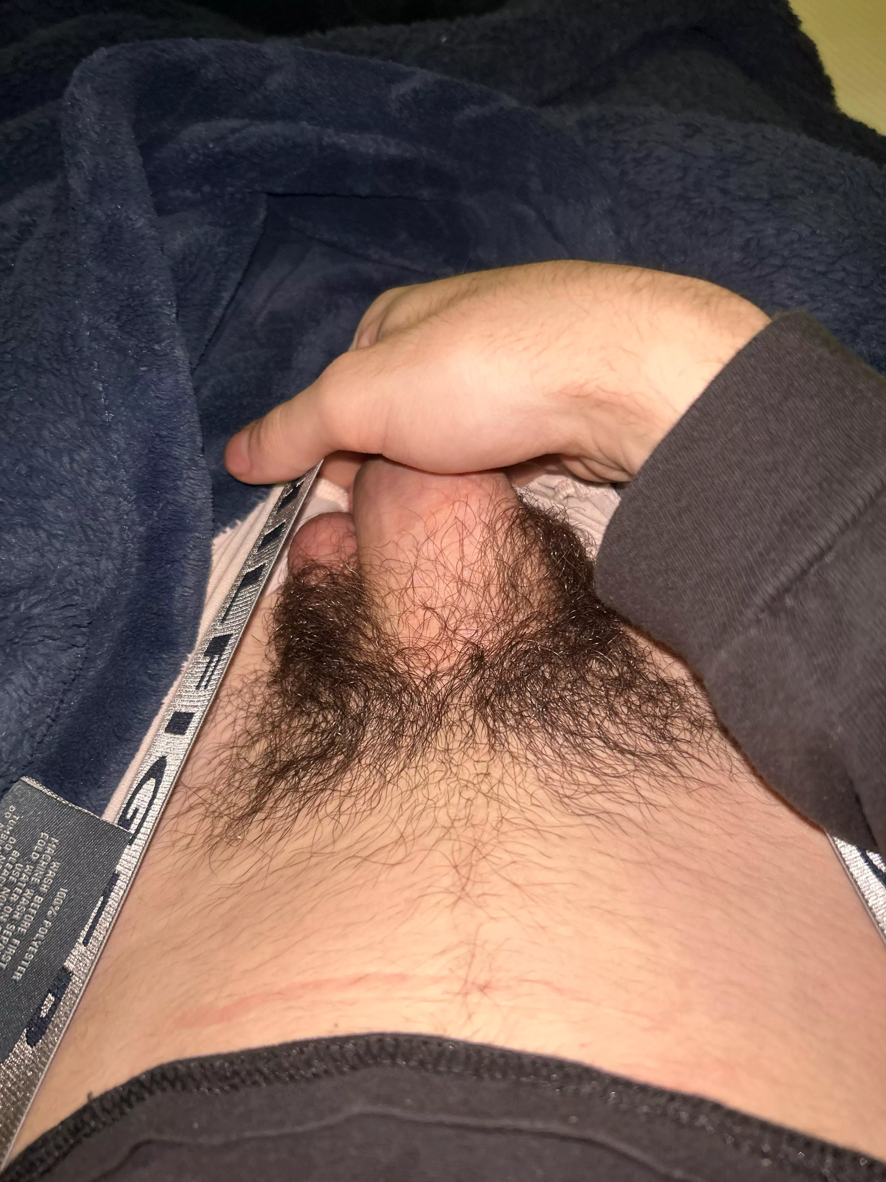 starting to get pretty hairy should i trim 🤷‍♂️ posted by DifferenceNervous751