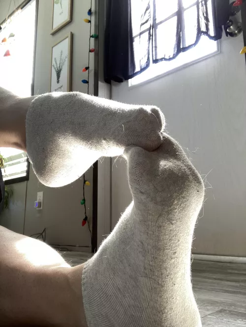 Sweet little ankle socks need a new home ! by urberkj