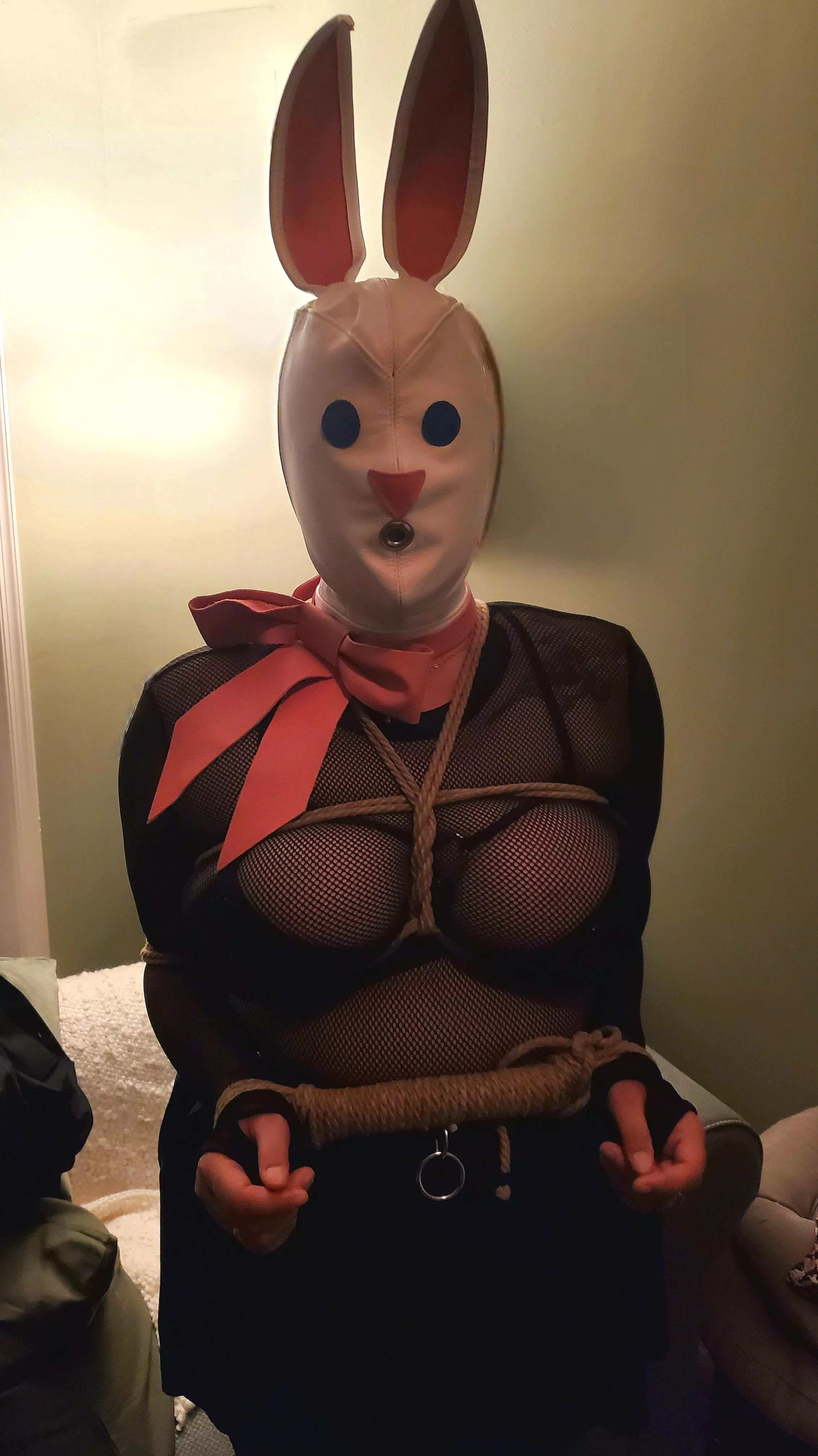 The Easter Bunny is going to be a it delayed posted by Pir8Rbrts2