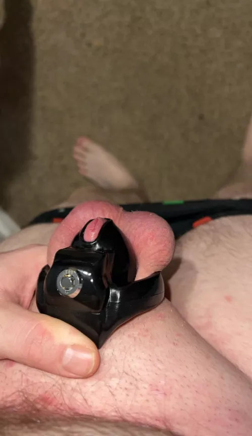 This is the smallest cage I own by H3T4R