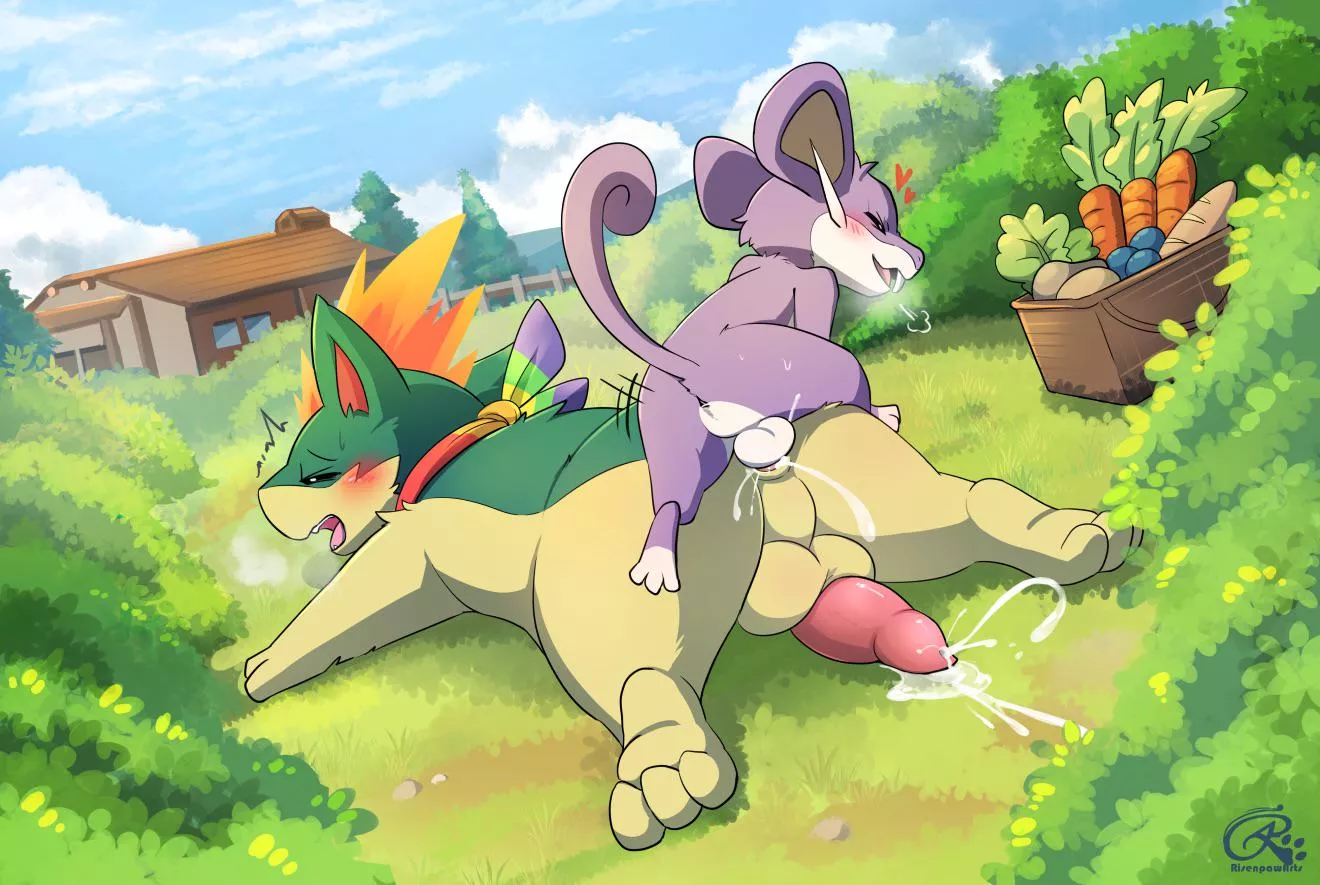 Top percentage of Rattata [Risenpaw] posted by aspiringboop