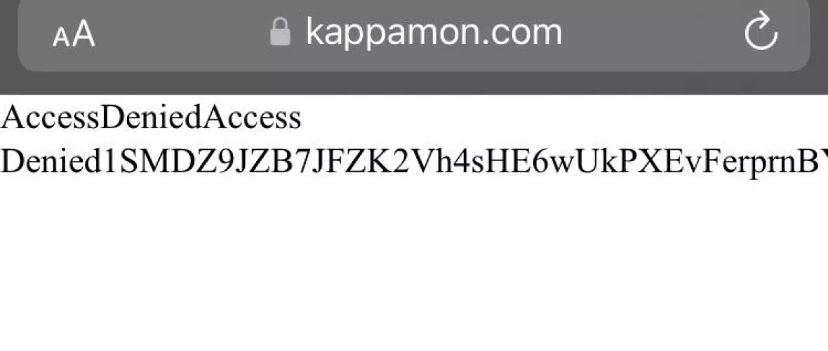 Access denied kappamon? by Emergency-Dark-2569