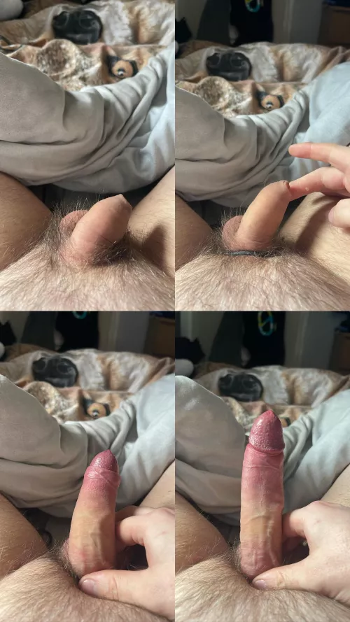 Anyone like? by Effective15