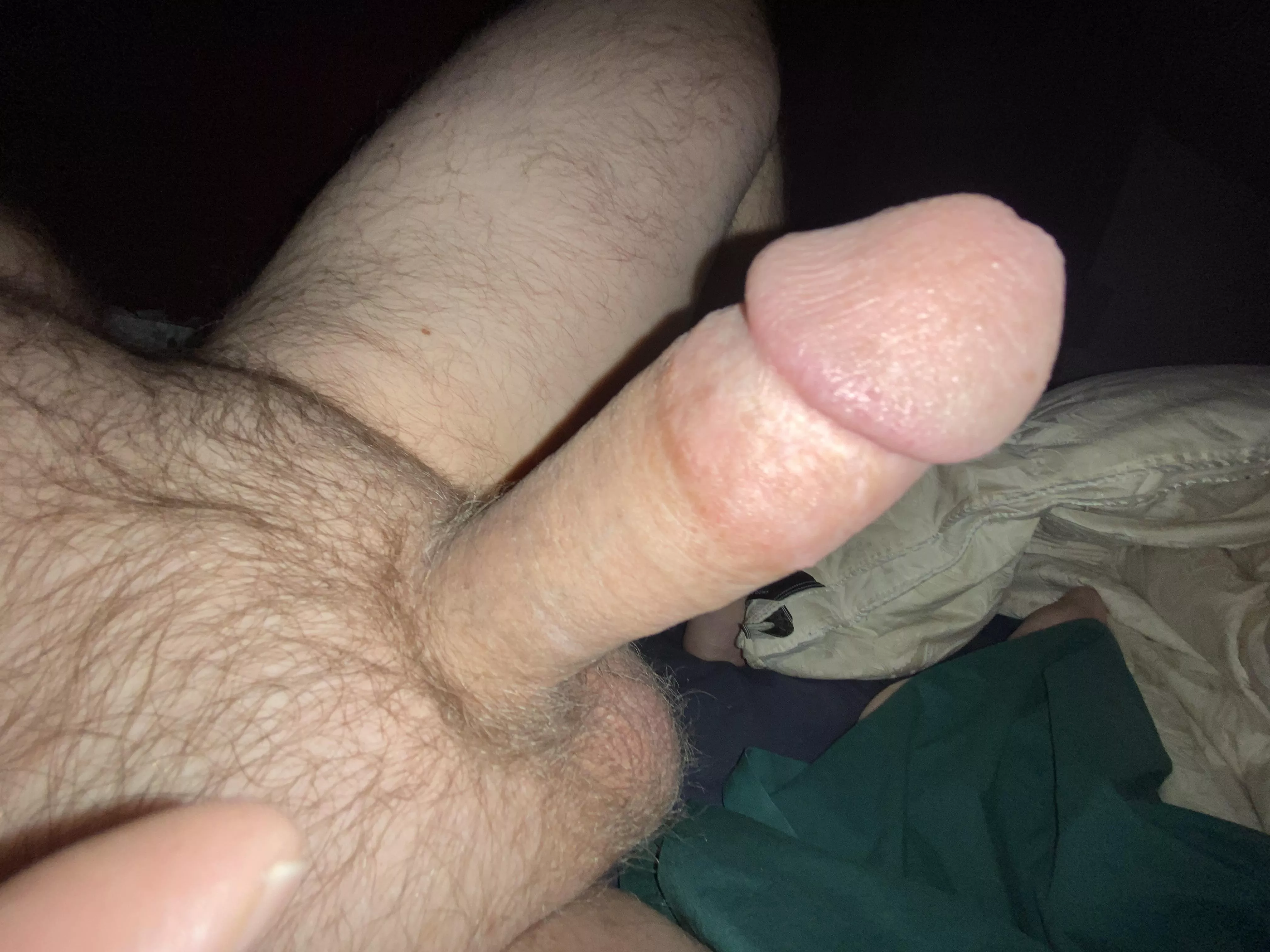 Big storm tonight, crawled into bed for protection! posted by captjens