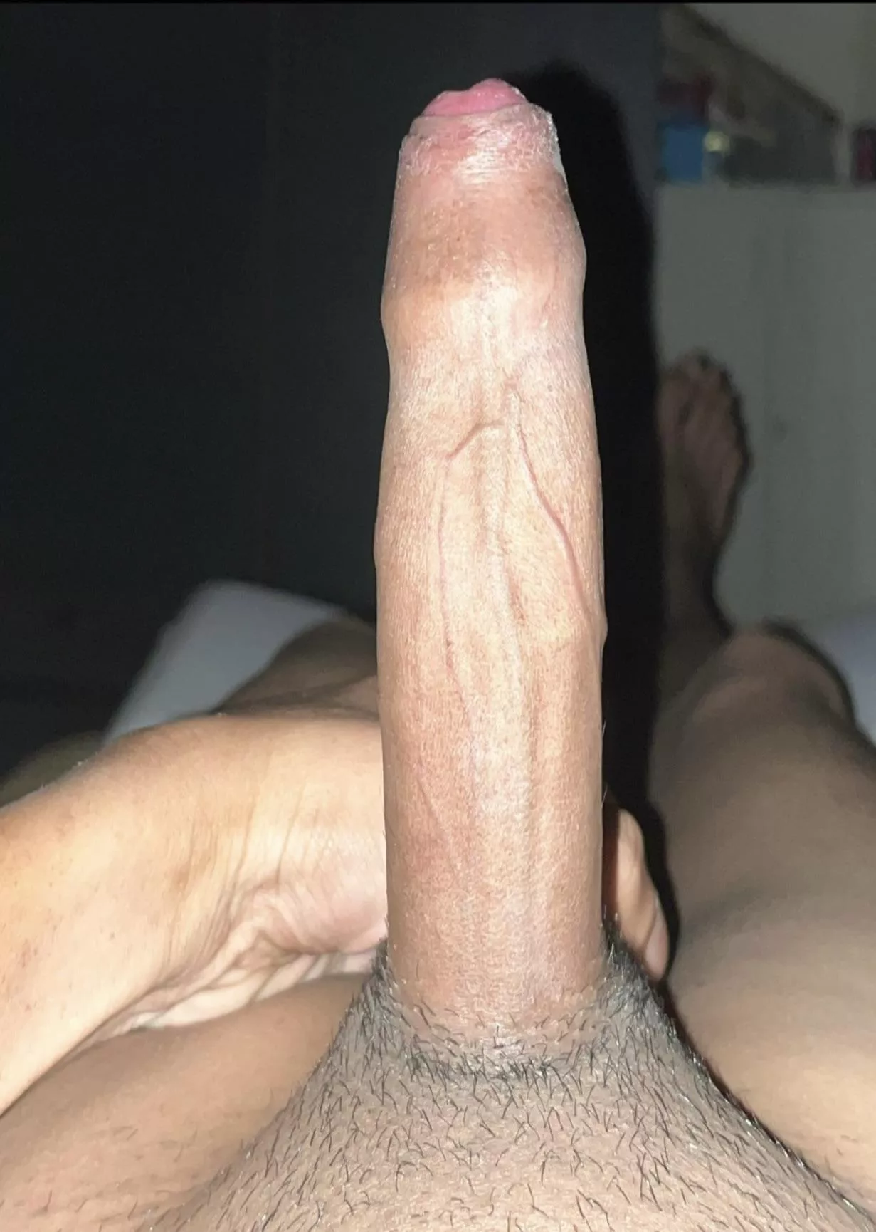 Blow Till I Flow Or Slide and Glide? posted by Veiny-dong