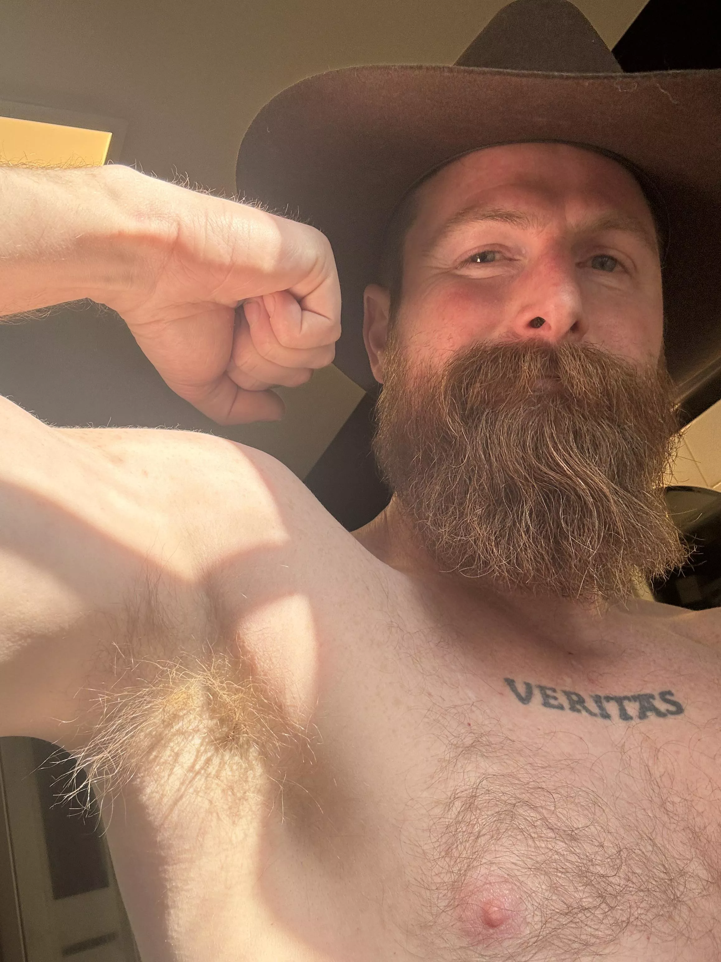 Do you guys like ginger pits and beards? posted by veritasok