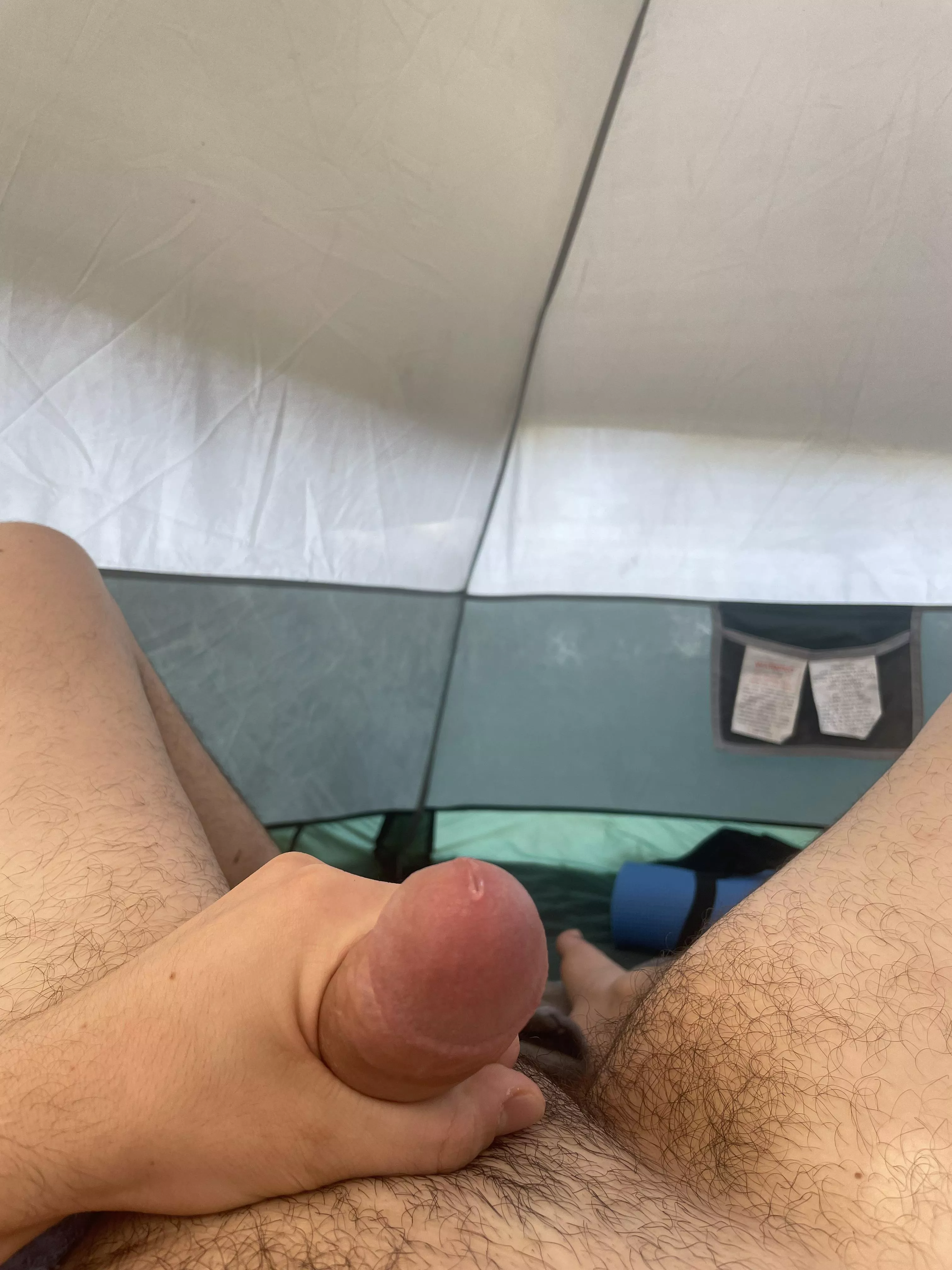 Dripping during my camping trip posted by f23apus