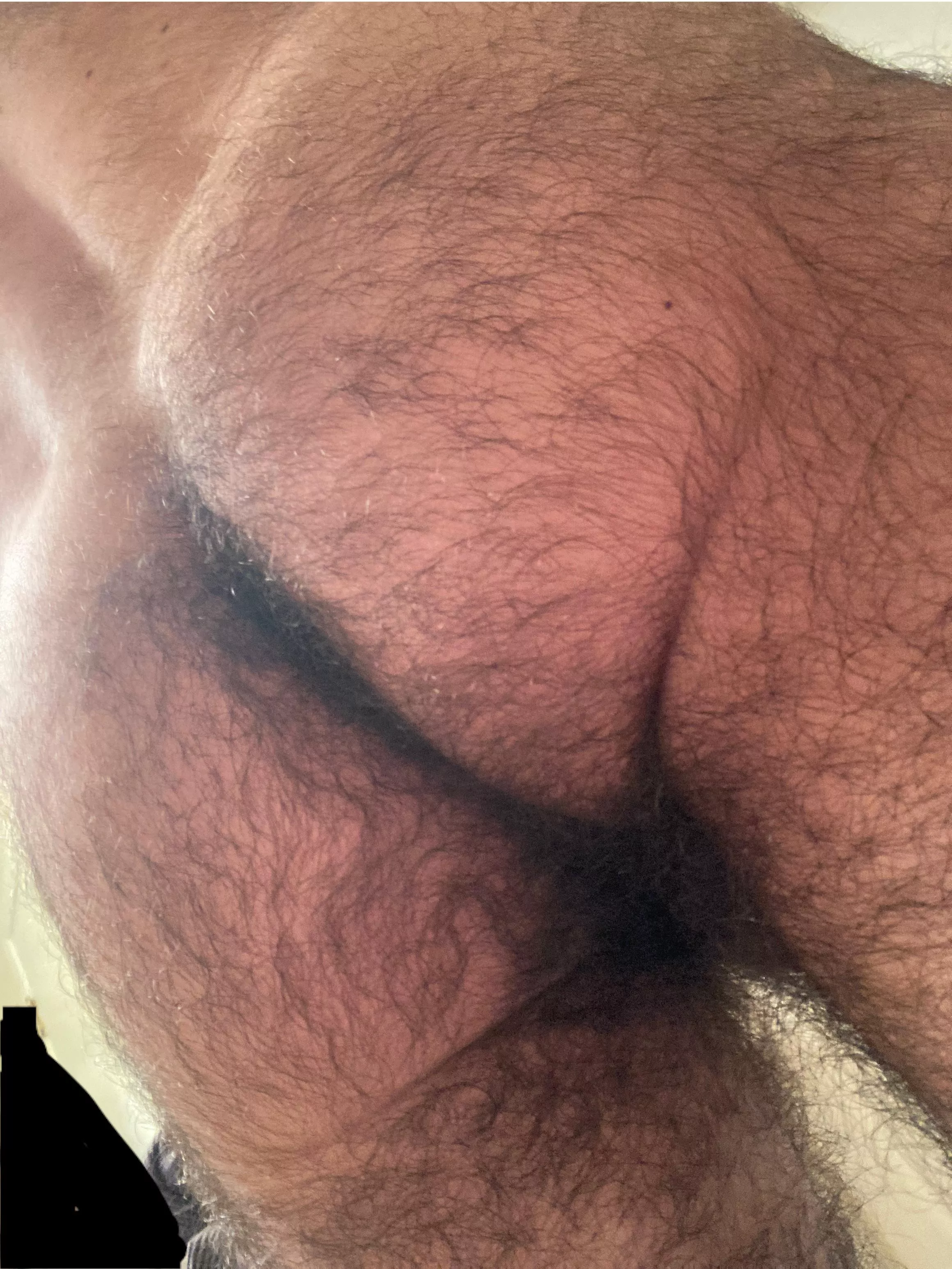 Enjoy my hairy man ass posted by PiercedX