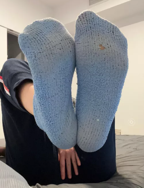 Female [selling] Where my fuzzy lovers at? by katarinaj20