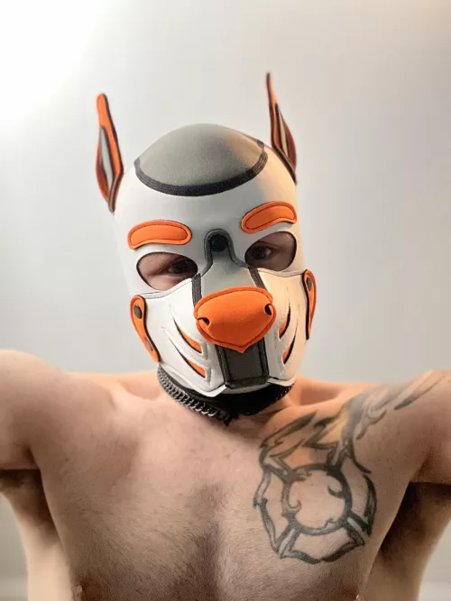 Find whatcha looking for down there pup? 😏 by pup_ember