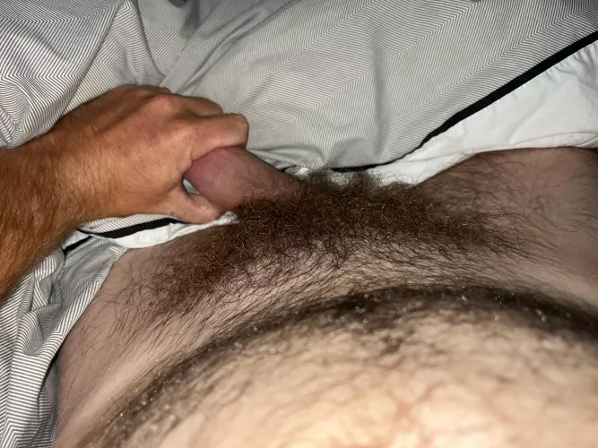 Full bush by 11kiwiboy