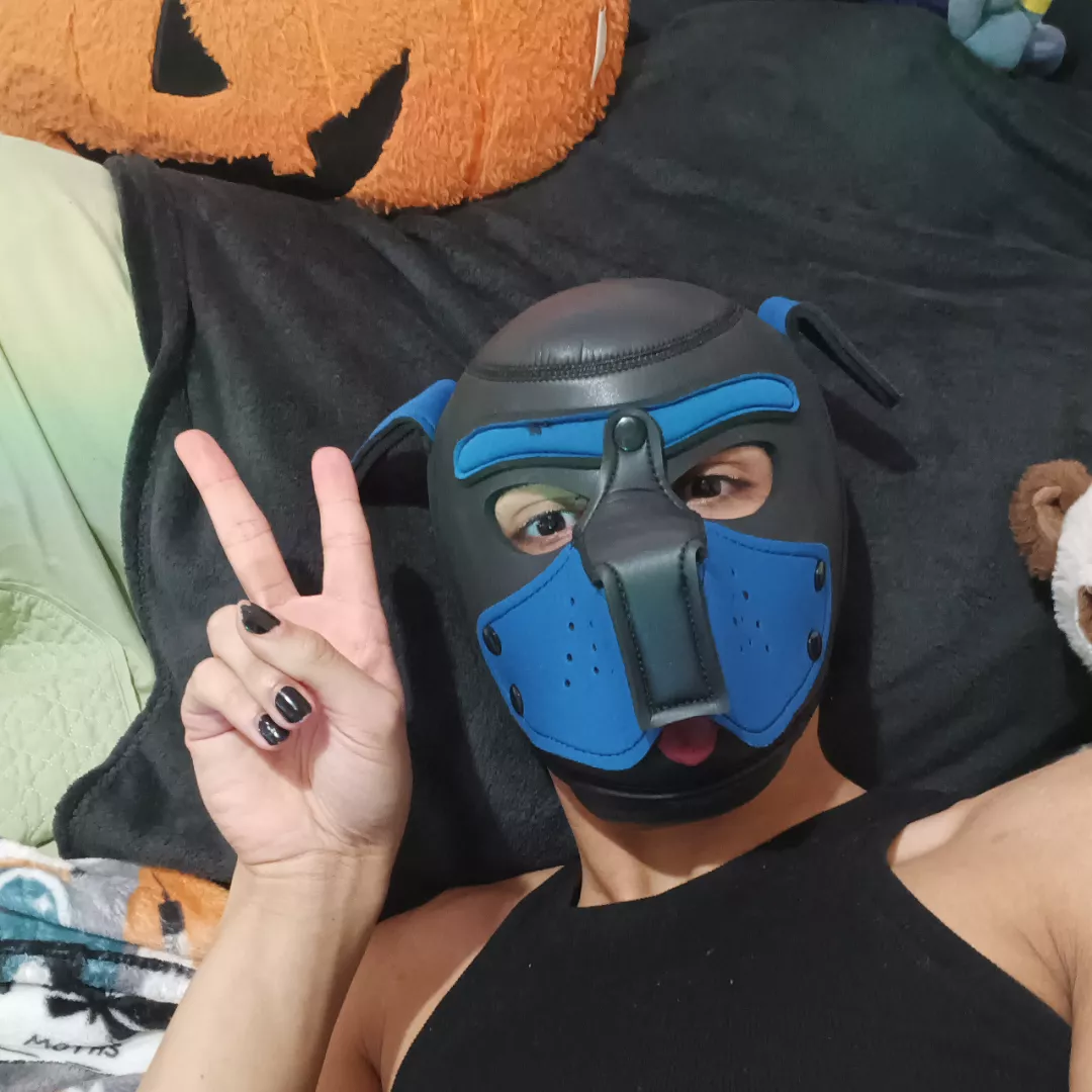 Hello reddit pups ! <3 posted by m4rsgatorade_