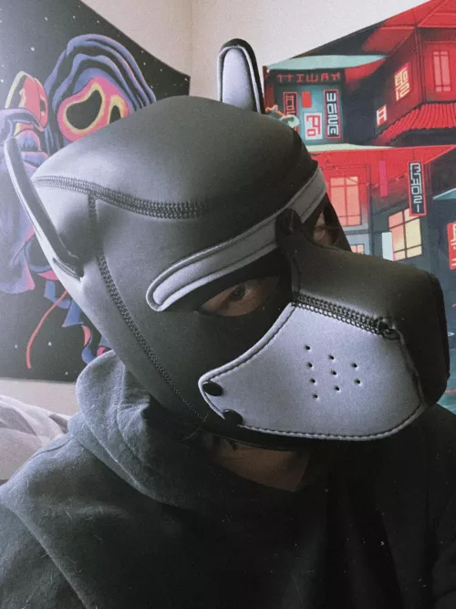 hi pups! new mask just came in :) by cub-slag