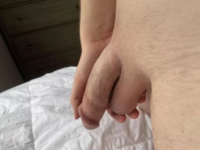 Holding my smooth softie by t-h-r-o-w_-_a-w-a-y