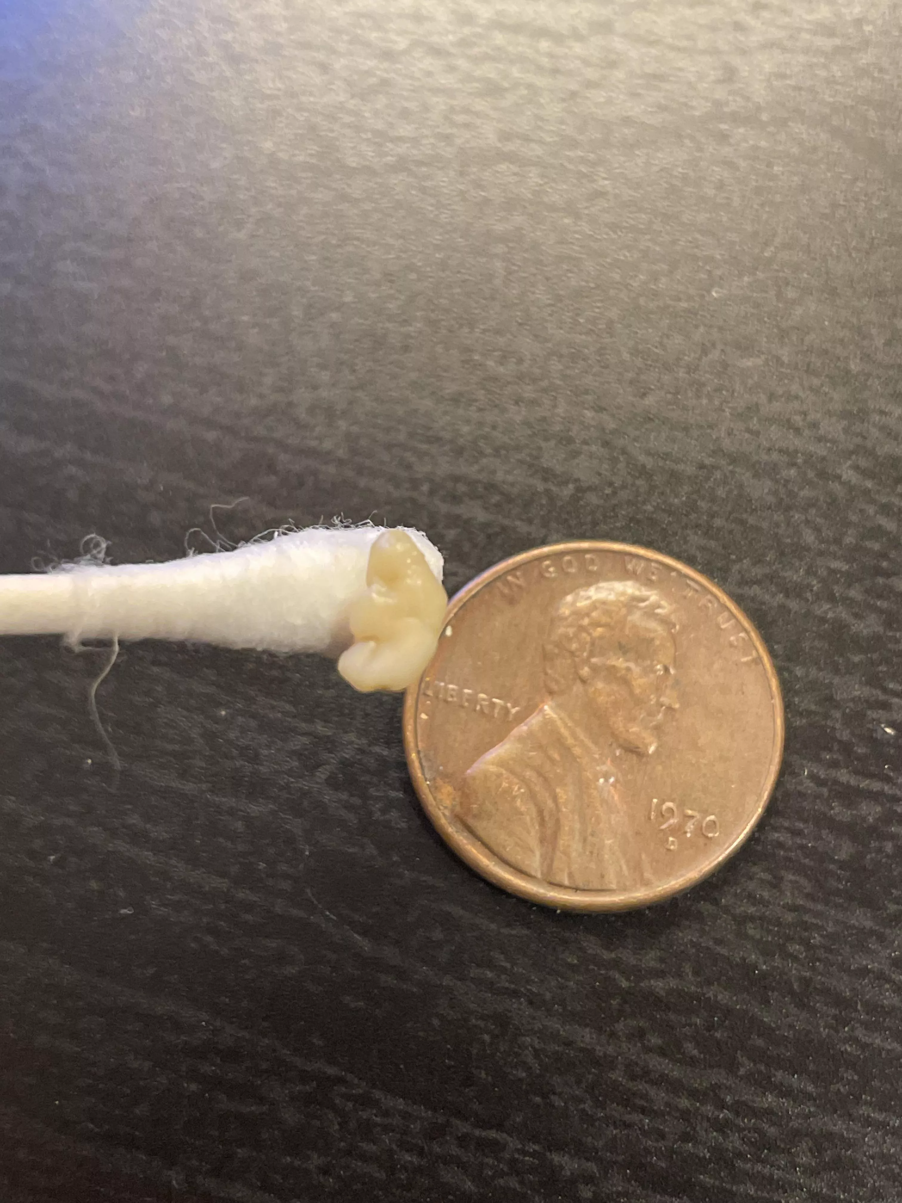 “I bet those weirdos on Reddit would love this!” posted by pizzabagels1994