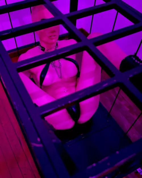 I like cages and rubber hoods😏 by S4kuramei