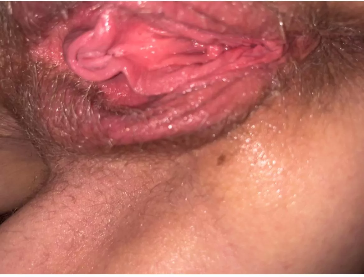 Love this pussy more than life posted by Low-King2679