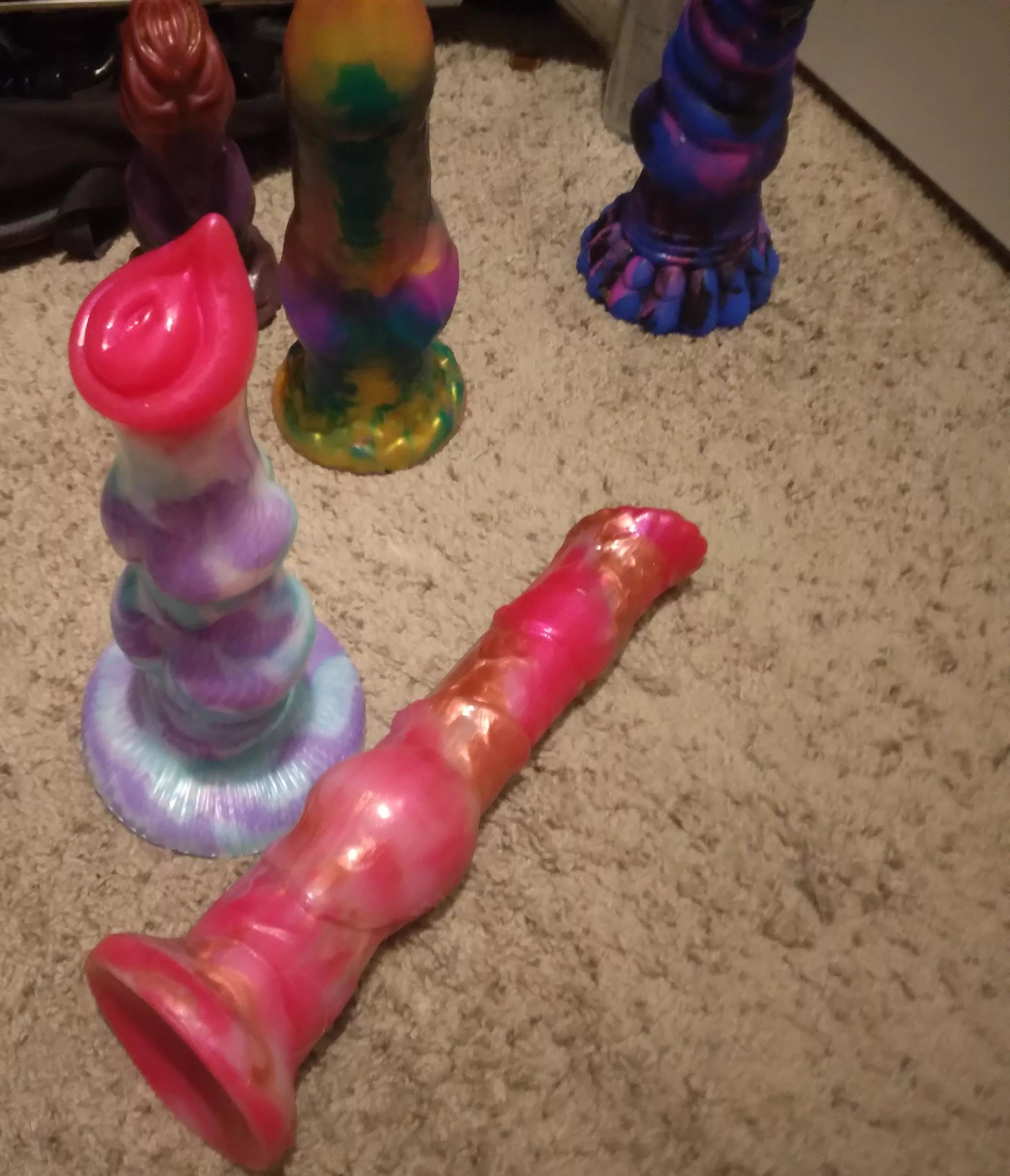 New Arrivals posted by LatterIntroduction25