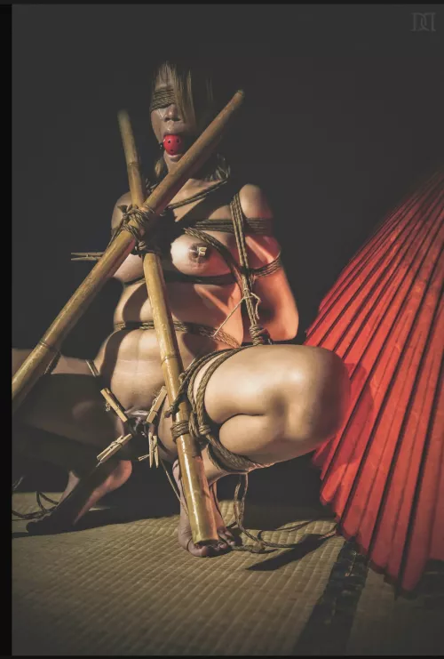 Not much compares to being bound, legs spread and vulnerable, gagged to muffle your moans, blindfolded to increase your anticipation, and clothes pins clamped to your nipples and spread your labia to really add some exciting pain and sense of vulnerabili by DiggBoobs3