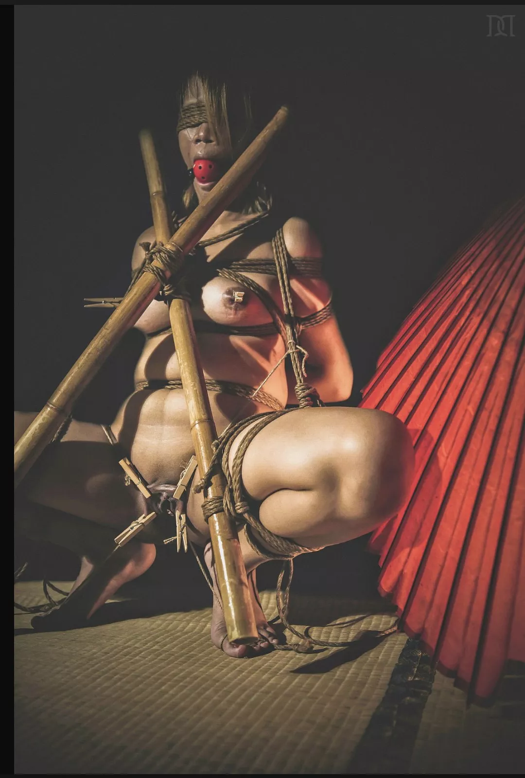 Not much compares to being bound, legs spread and vulnerable, gagged to muffle your moans, blindfolded to increase your anticipation, and clothes pins clamped to your nipples and spread your labia to really add some exciting pain and sense of vulnerabili posted by DiggBoobs3