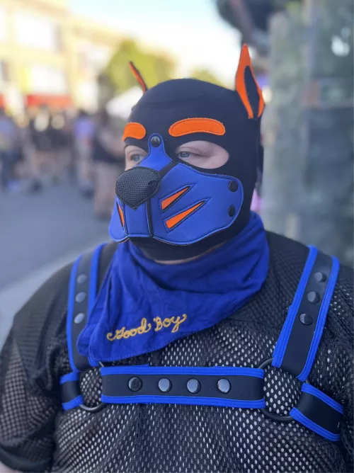 Pupper had a blast at Folsom this past year by PupperSpike
