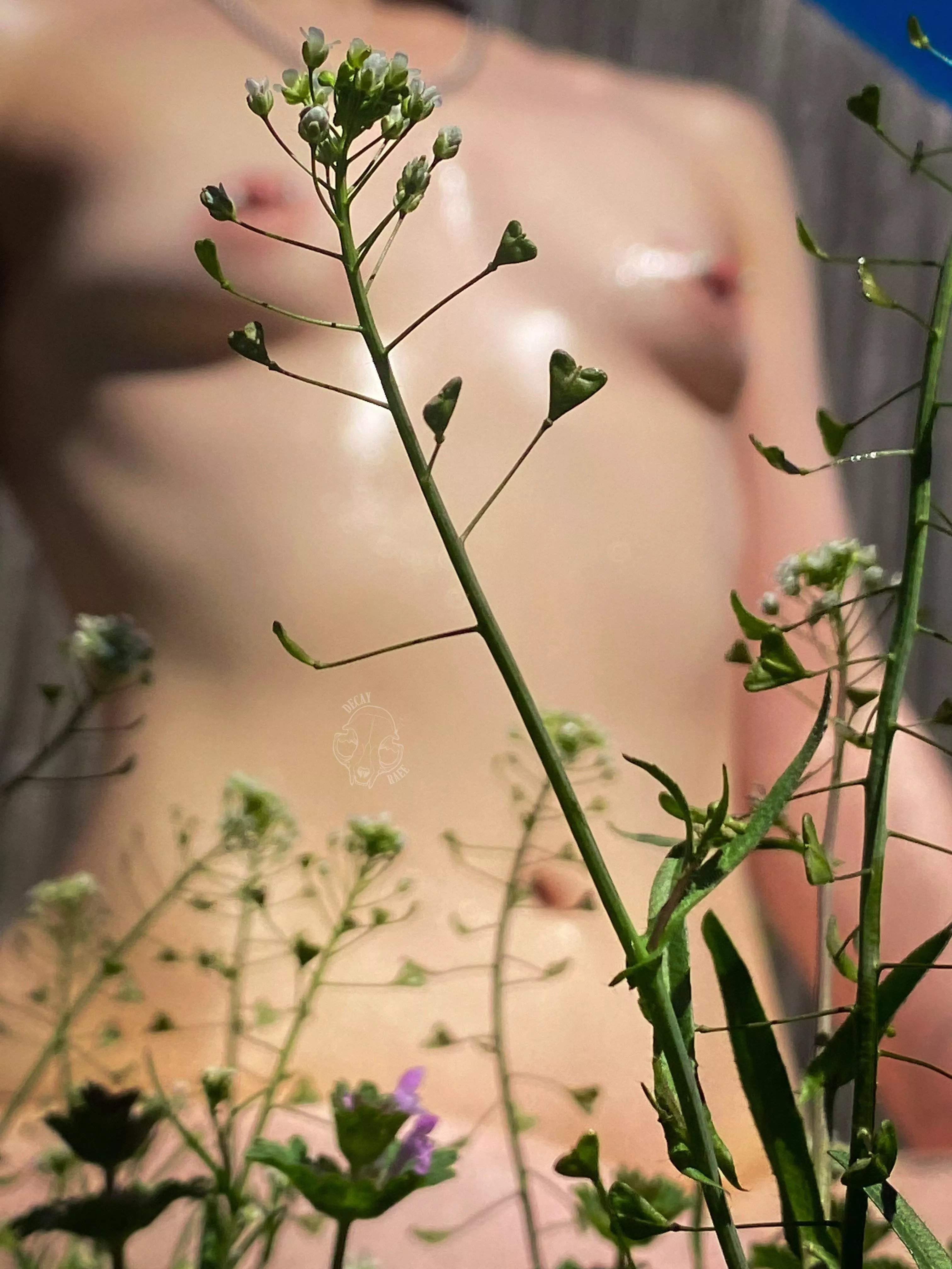 soaking up the sun posted by decayraee