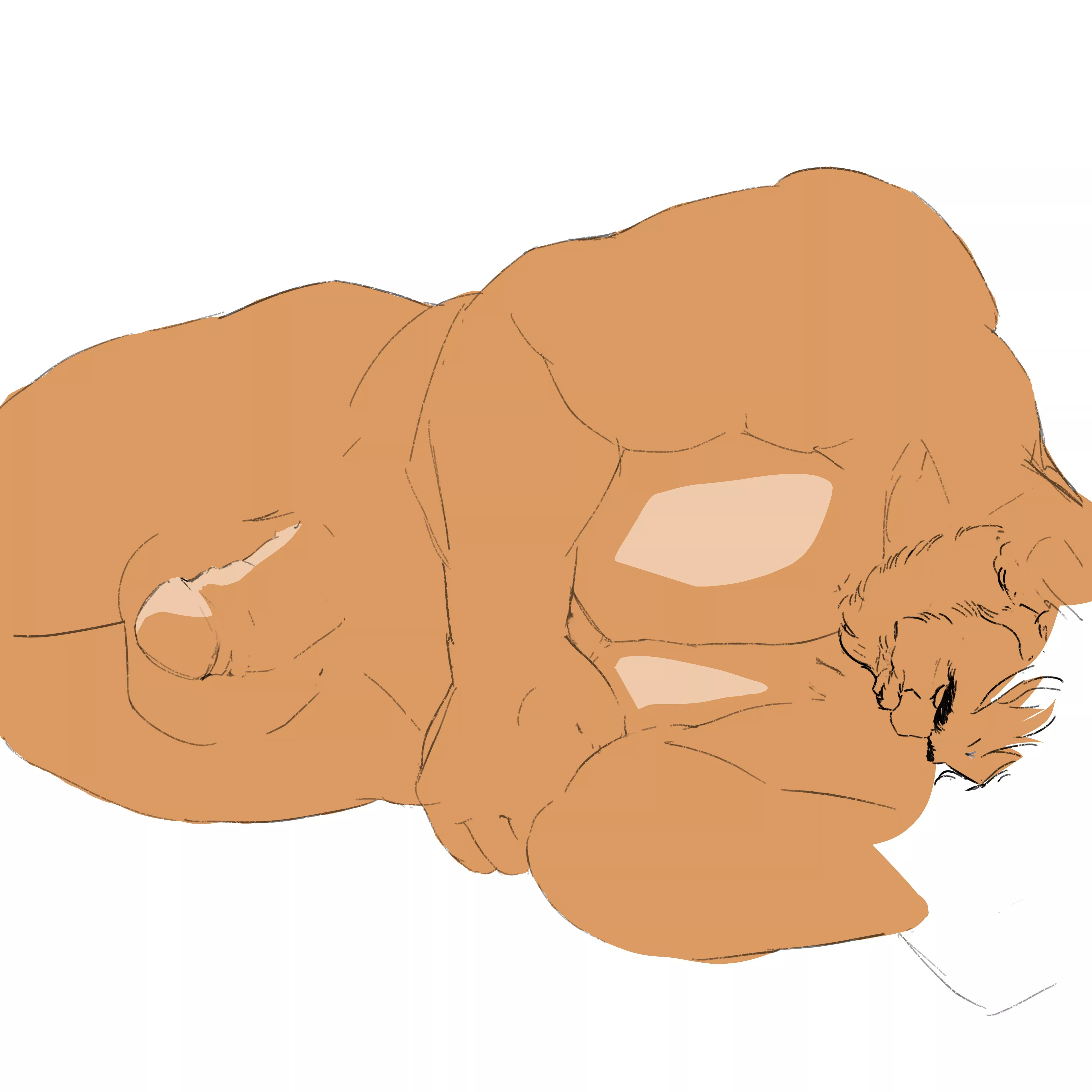 Something I've started working on. Critique welcomed! posted by brawnydaze