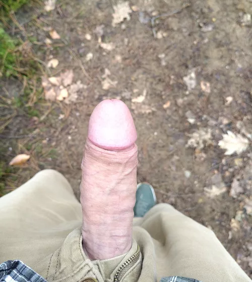 Strolling through the forest by Mr_Filly