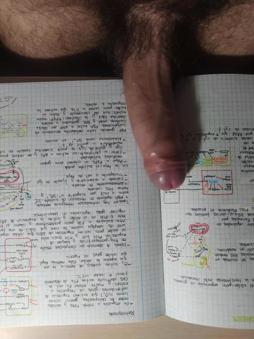 Studying hard  by OriginalHornyGuy